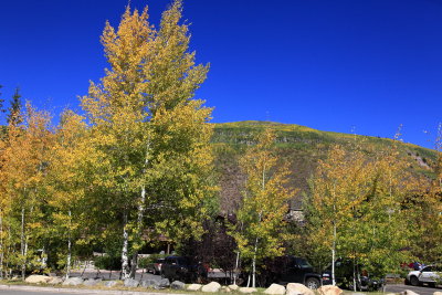 _MG_7035.JPG