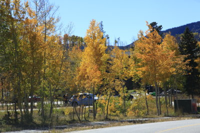 _MG_7046.JPG