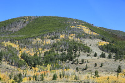 _MG_7051.JPG