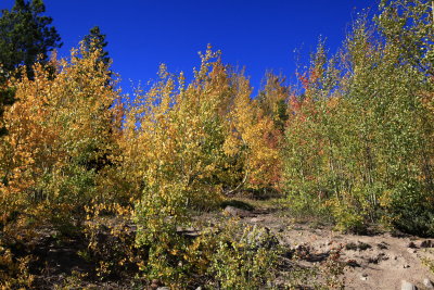 _MG_7073.JPG