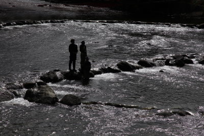 _MG_7191.JPG