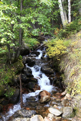 _MG_7336.JPG