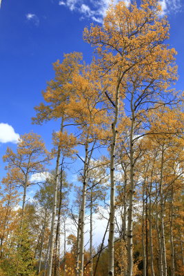 _MG_7430.JPG
