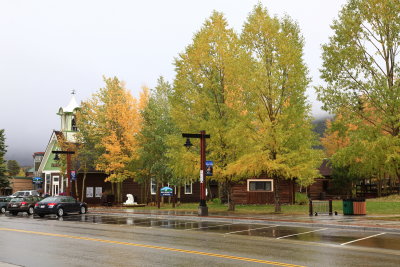_MG_7446.JPG