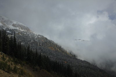 _MG_7553.JPG