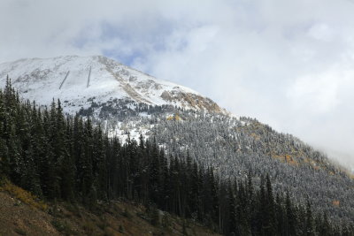 _MG_7554.JPG