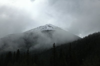 _MG_7564.JPG