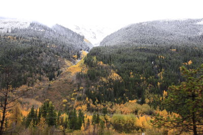 Snow White Mountain... Golden Aspen... Evergreen Pine (_MG_7571.JPG)