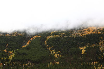 _MG_7582.JPG