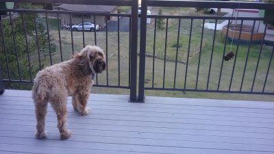 20170921_175039.jpg