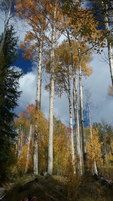 20170923_100140.jpg