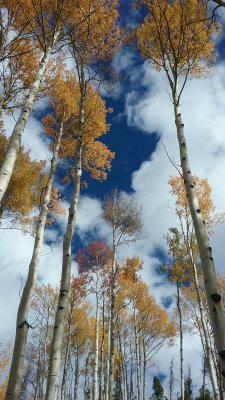 20170923_100218.jpg