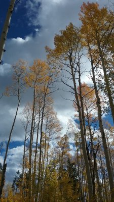 20170923_100223.jpg