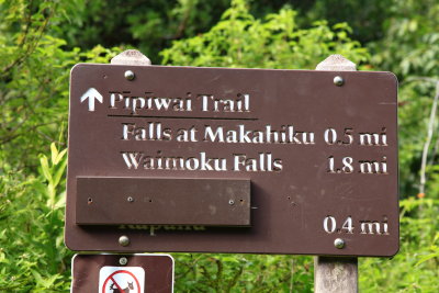 Waimoku Waterfalls Trail (_MG_9255.JPG)