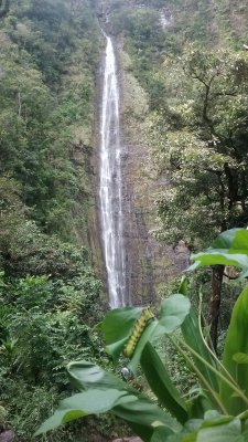 Carterpillar and Waterfalls (20171117_155934.jpg)