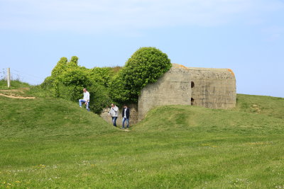 _MG_0214.JPG