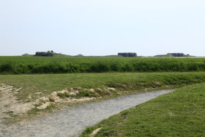 _MG_0223.JPG