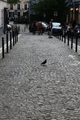 Coblestone Street of Paris (_MG_1215.JPG)