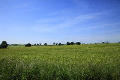 _MG_0573.JPG
