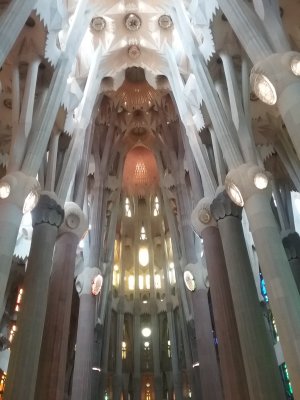 20180529_131349.jpg