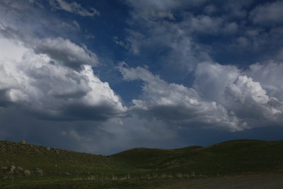 _MG_9736.JPG