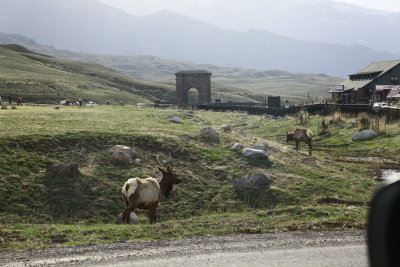_MG_9754.JPG