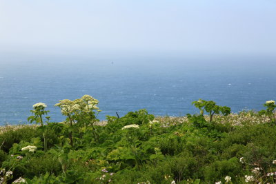_MG_9456.JPG