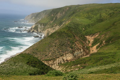 _MG_9461.JPG