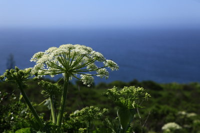 _MG_9536.JPG