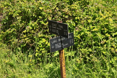 _MG_9559.JPG