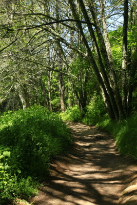 _MG_9561.JPG