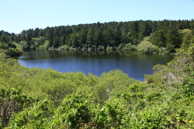 _MG_9563.JPG