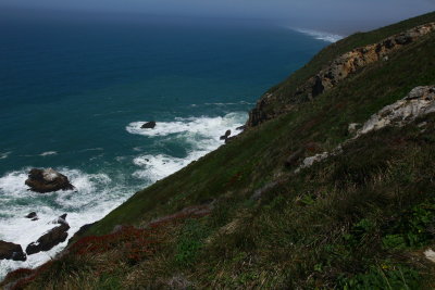 _MG_9678.JPG