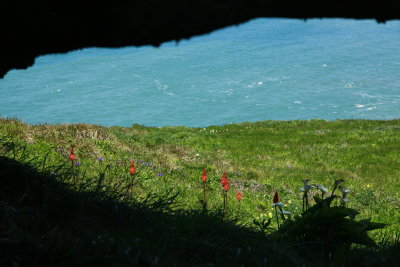 _MG_9692.JPG