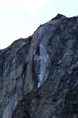 _MG_9420.JPG