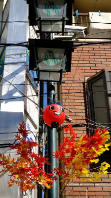 DSCF0054.JPG