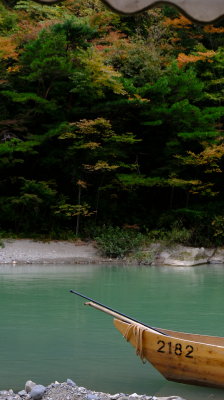DSCF0139.JPG