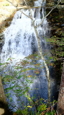 DSCF0212.JPG