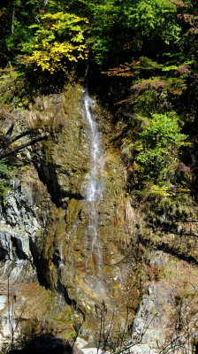 DSCF0218.JPG