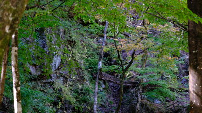 DSCF0225.JPG