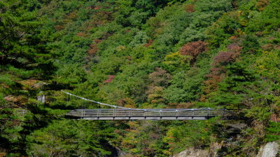 DSCF0226.JPG