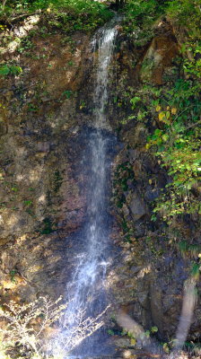 DSCF0228.JPG