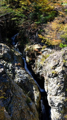 DSCF0232.JPG