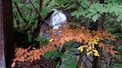 DSCF0252.JPG