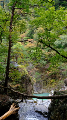 DSCF0253.JPG