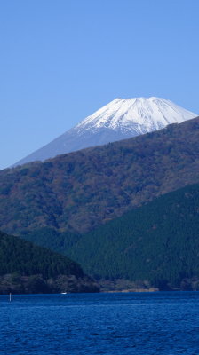 DSCF0781.JPG