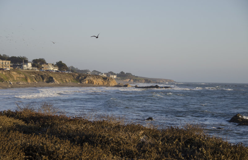 DSC_0342a.jpg