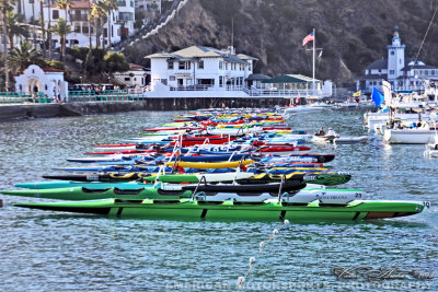 Catalina Crossing 2018