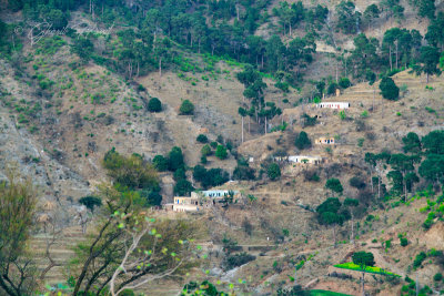Jhandi Chontra Village