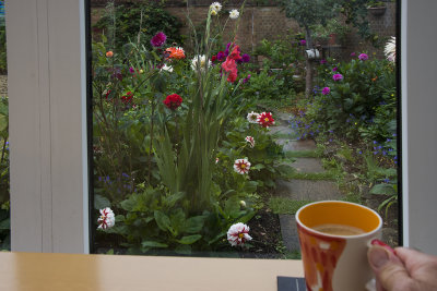 Time for a quick cuppa at my window copy.jpg